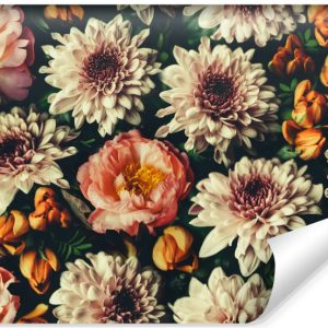 Fototapeta w Stylu Retro KWIATY Piwonie 3D 270x180cm 255559 Fototapeta w Stylu Retro KWIATY Piwonie 3D 270x180cm 255559
