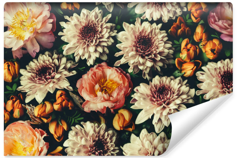 Fototapeta w Stylu Retro KWIATY Piwonie 3D 400x280cm 255525
