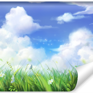 Fototapeta Widok ŁĄKA Rośliny Chmury 3D 180x120cm 268991