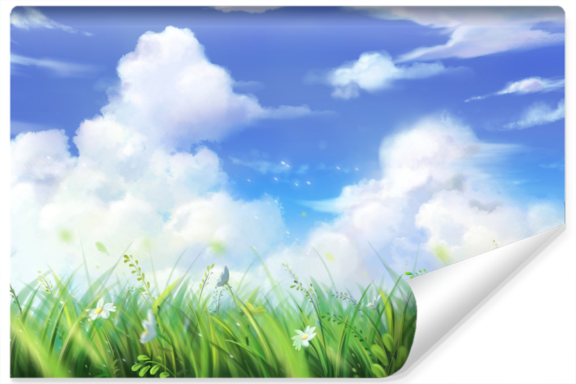Fototapeta Widok ŁĄKA Rośliny Chmury 3D 90x60cm 269046