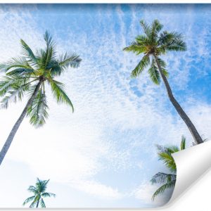 Fototapeta Widok z Dołu Na PALMY Niebo 3D 208x146cm 253310
