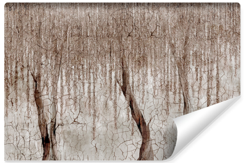 Fototapeta Wierzba Na Betonie 270x180cm 316476