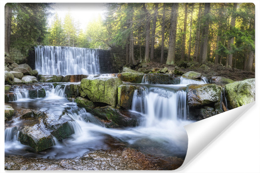 Fototapeta Wodospad Kaskada Pośród Lasu 3D 254x184cm 261848