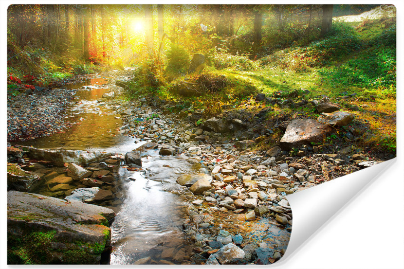 Fototapeta WODOSPAD Słońce Las Efekt 3D 270x180cm 261895