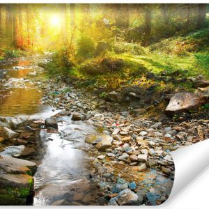 Fototapeta WODOSPAD Słońce Las Efekt 3D 300x210cm 261841