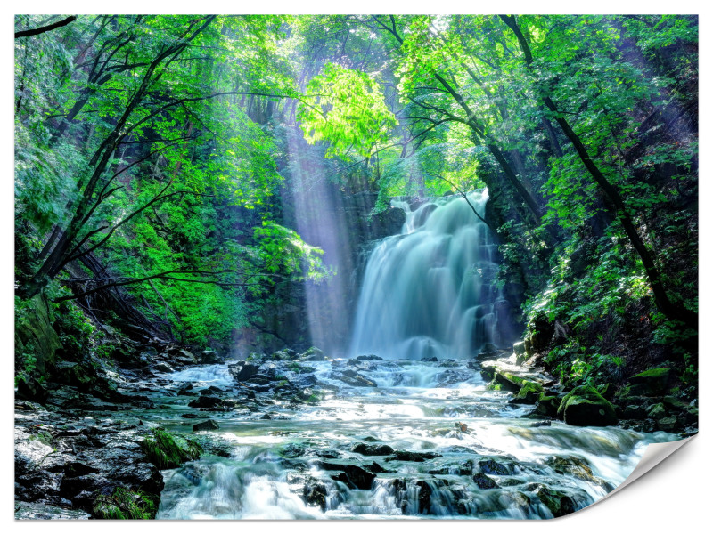 Fototapeta Wodospad w Lesie 350x256cm 983481