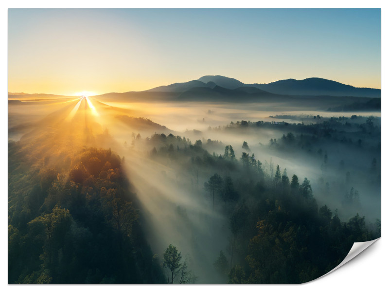 Fototapeta Wschód słońca nad górskim lasem 350x256cm 982373