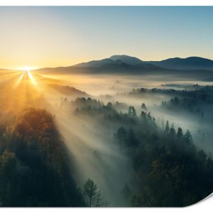 Fototapeta Wschód słońca nad górskim lasem 500x350cm 982358