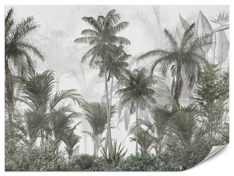 Fototapeta Wysokie palmy 150x105cm 985797